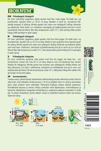 frilandsgurka-asiegurka-kampino-2