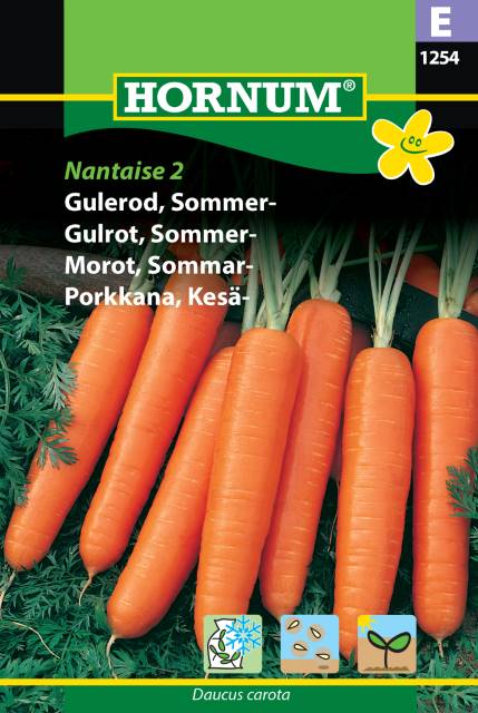 Sommarmorot ’Nantaise 2’ frö