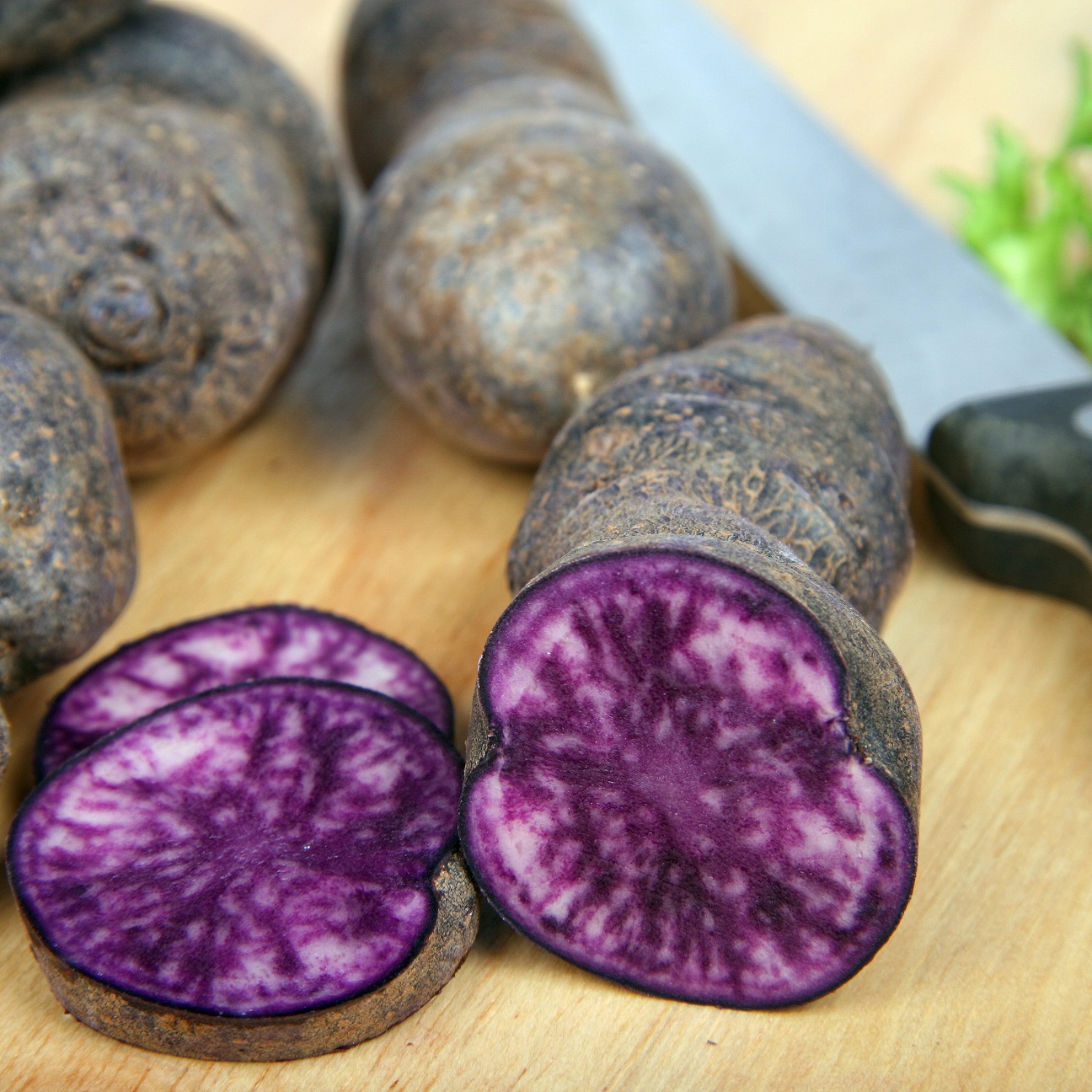 Sättpotatis - Violet Queen 1kg