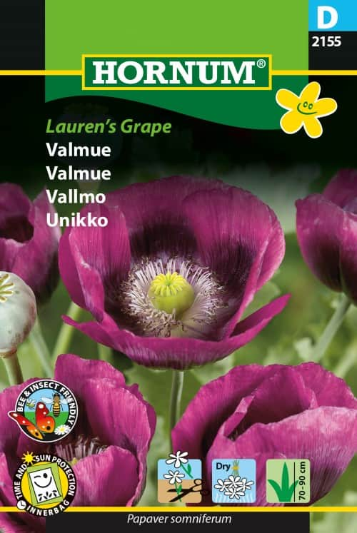 pionvallmo-laurens-grape-1