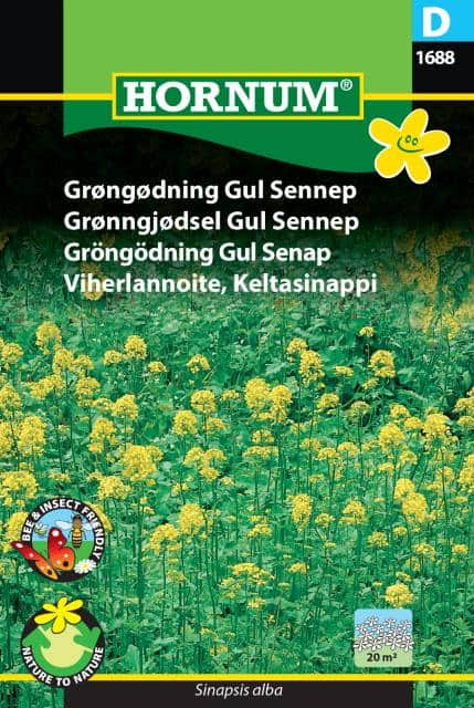 grngdning-gul-senap-fr-1