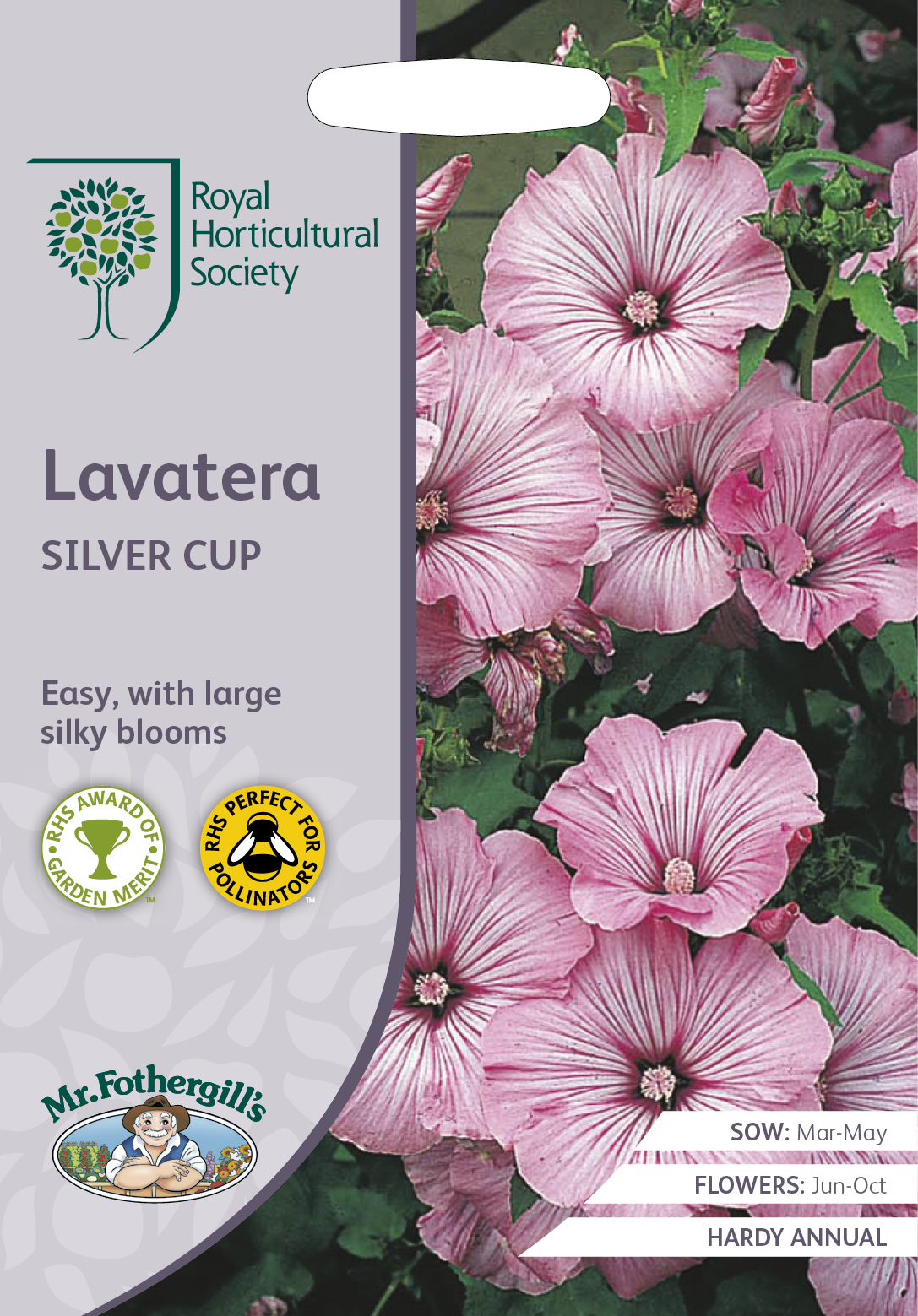 Sommarmalva ’Silver cup’, frö