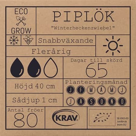 piplk-winterheckenzwiebel-krav-mrkt-2