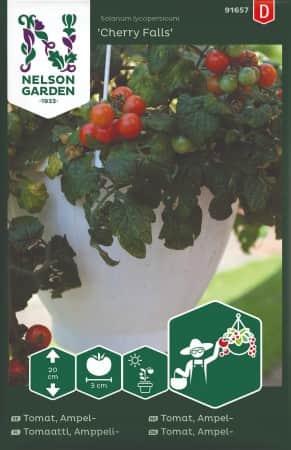 ampeltomat-cherry-falls-1