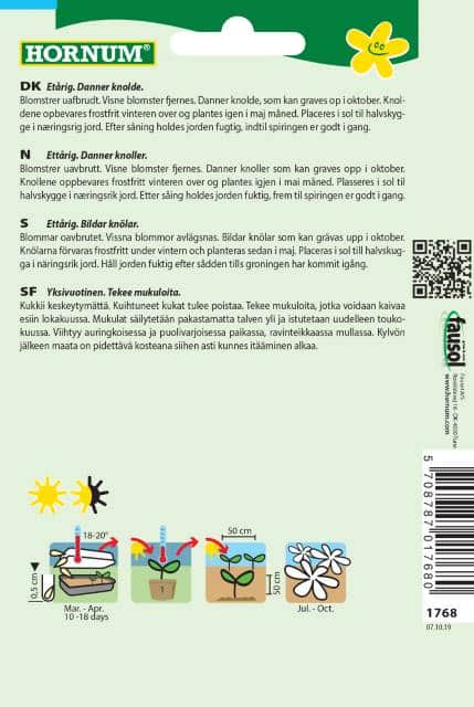 sommardahlia-mix-mignon-dwarf-2