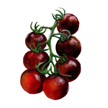 krsbrstomat-farenheit-blues-1