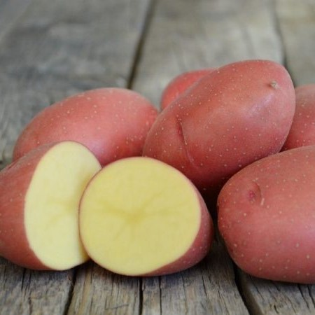 sttpotatis---rosara-1kg-1