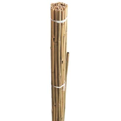 vxtstd-bambupinne-150cm---20st-1