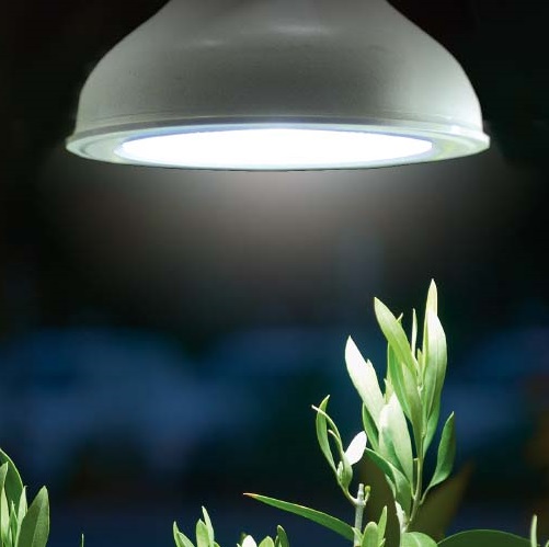 Växtbelysning, LED lampa 18W