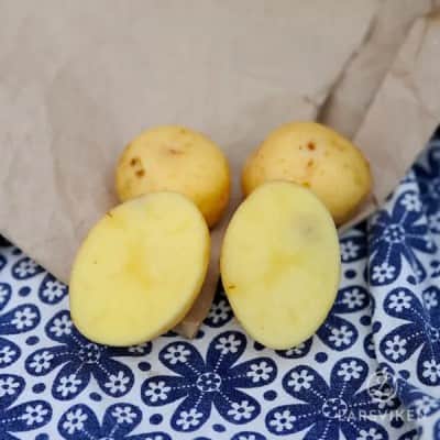 potatis---baby-lou-1-kg-1