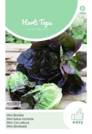 romansallat-moonred-1