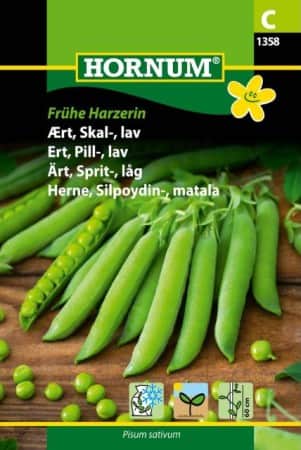 spritrt-fruhe-harzerin-1