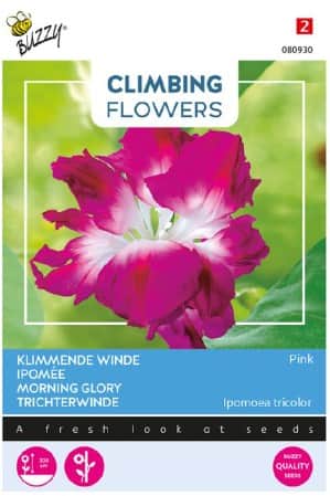 blomman-fr-dagen-double-rose-1