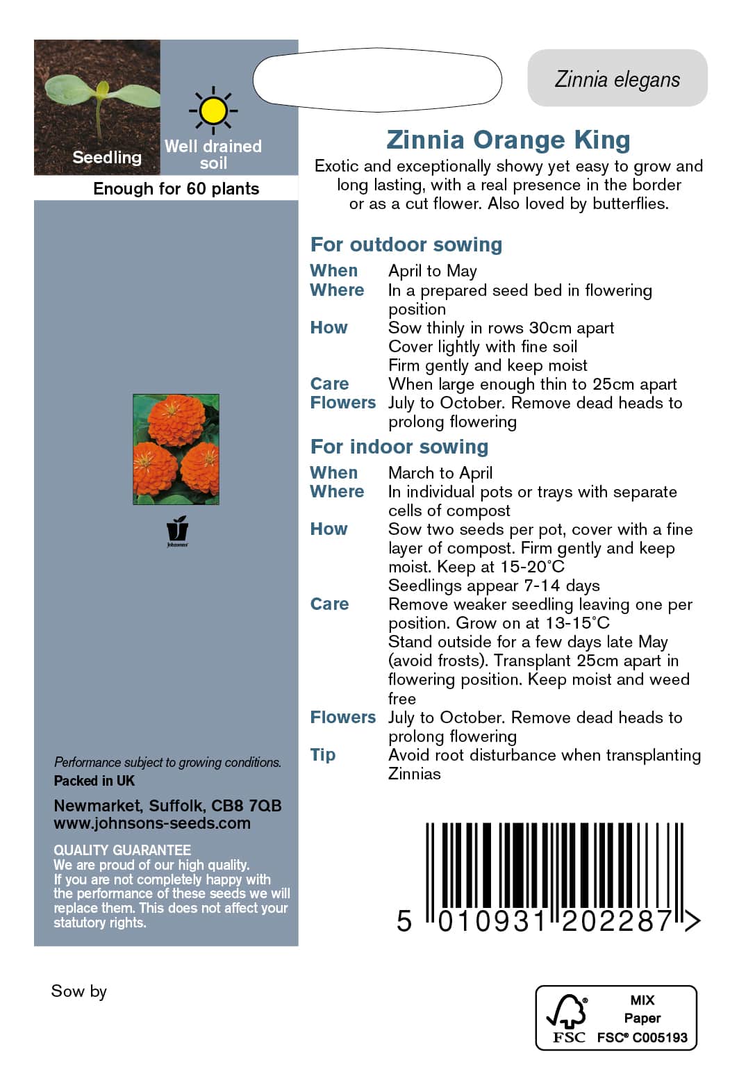 zinnia-orange-king-fr-2