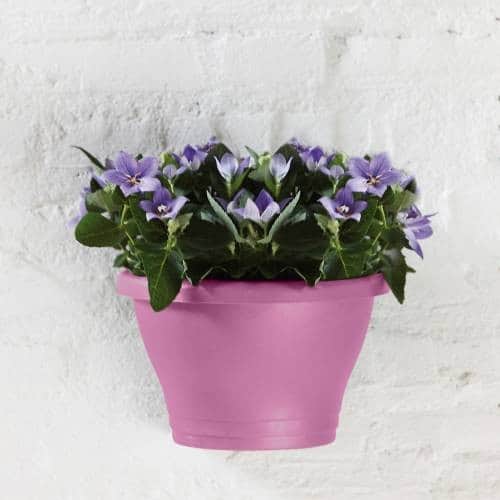 corsica-wall-basket-25cm-vivid-violet-1