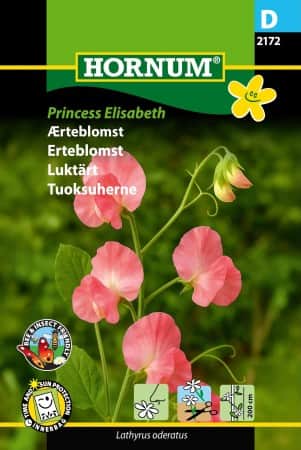 luktrt-princess-elisabeth-1