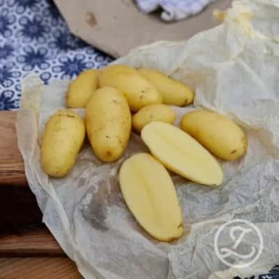 sttpotatis---alexandra-1kg-1