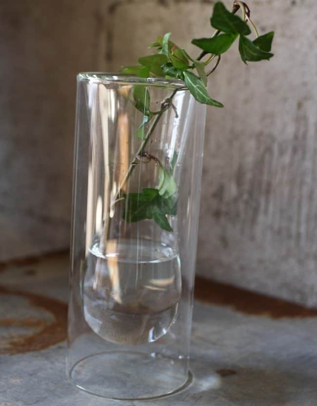 glasvas-8x18cm-dubbel-1