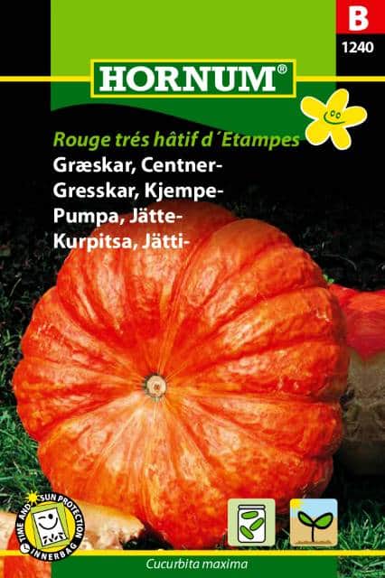 jttepumpa-rouge-trs-htif-detampes-1