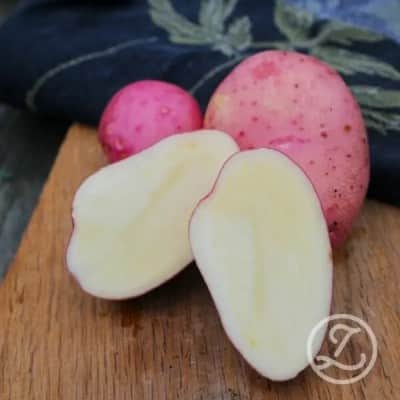 sttpotatis---sarpo-mira-1kg-1