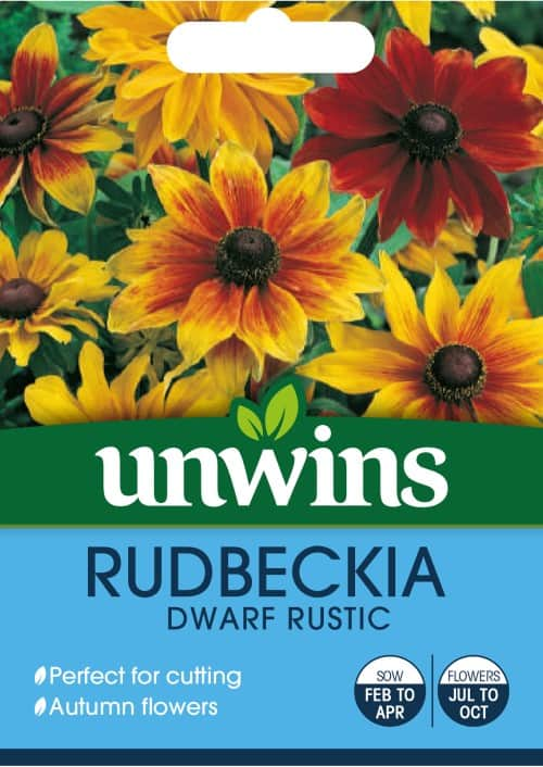 sommarrudbeckia-dwarf-rustic-1