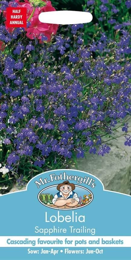 hnglobelia-sapphire-trailing-fr-1