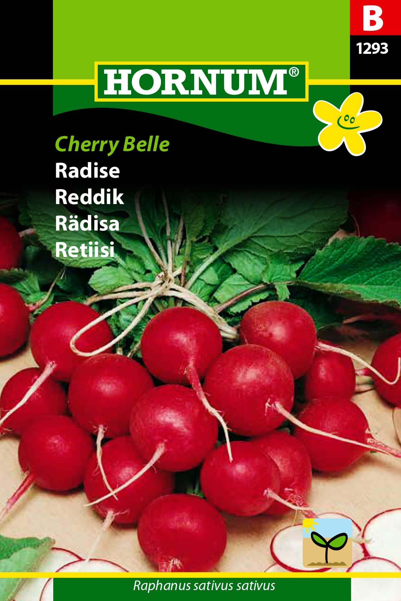 rdisa-cherry-belle-1