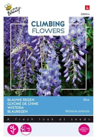 blregn-wisteria-blue-1