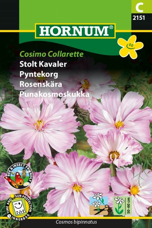 rosenskra-cosimo-collarette-1