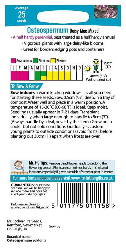 stjrnga-daisy-mae-mix-3