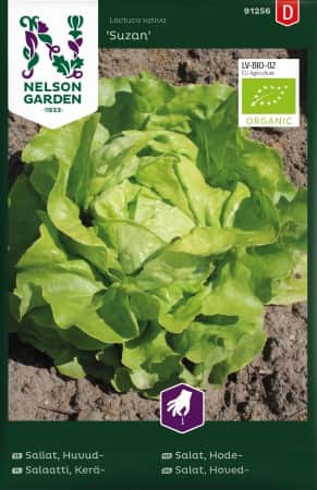 huvudsallat-suzan-eko-1