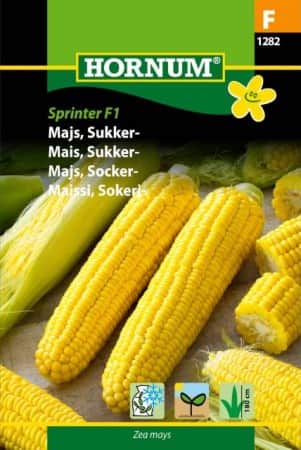 sockermajs-sprinter-f1-1