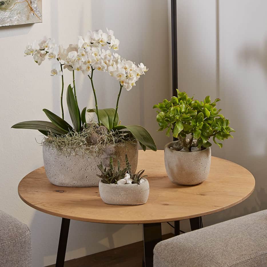 inomhuskruka-bettona-jardinire-28cm-dark-grey-2
