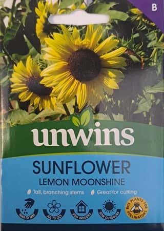 solros-lemon-moonshine-1