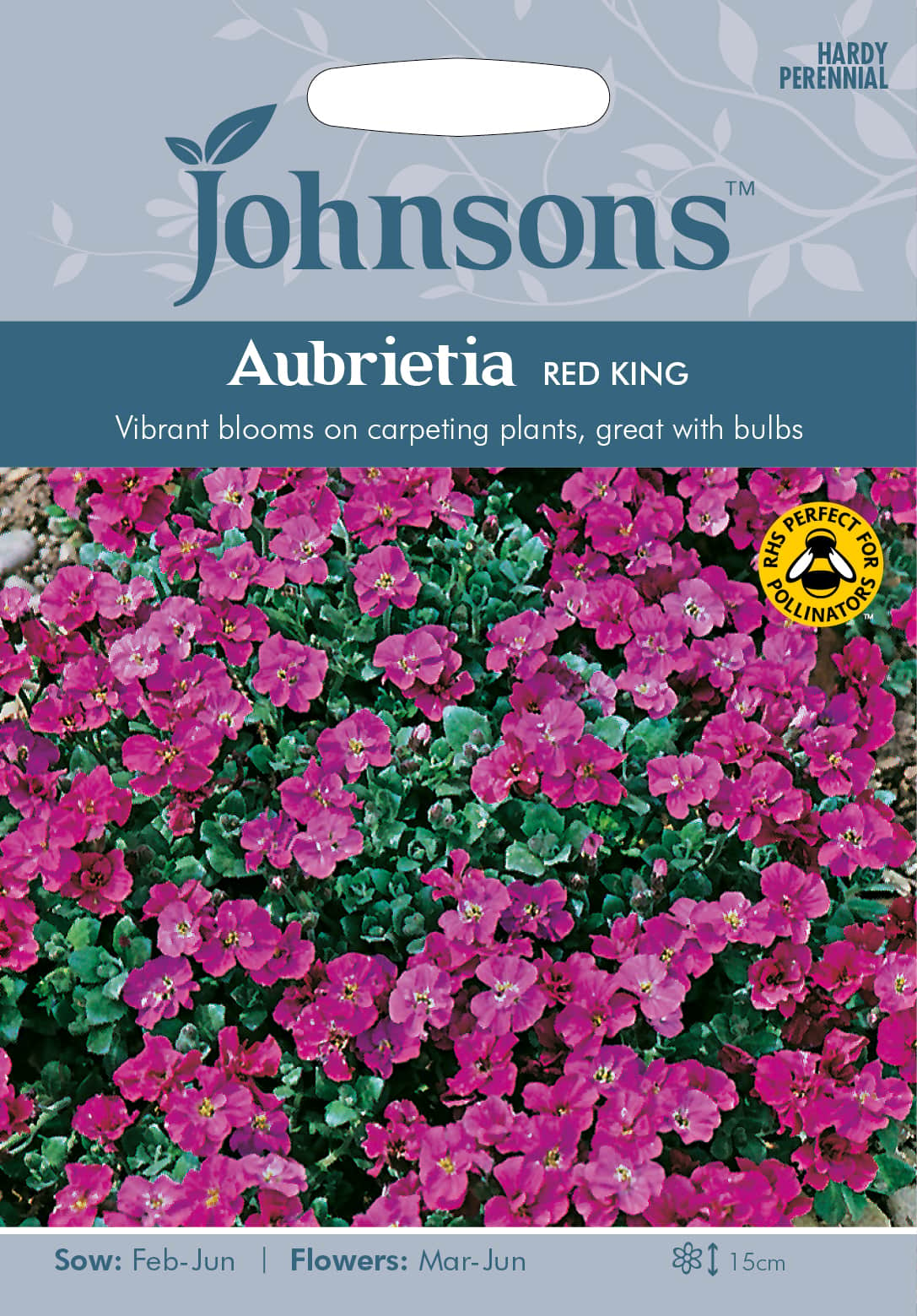 aubretia-red-king-fr-1