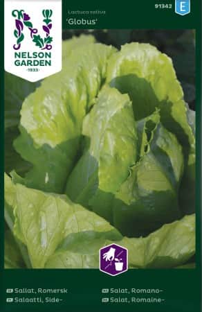 romansallat-globus-1