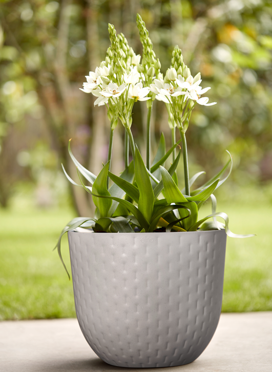 utekruka-fuente-grains-round-d47---pebble-gre-2