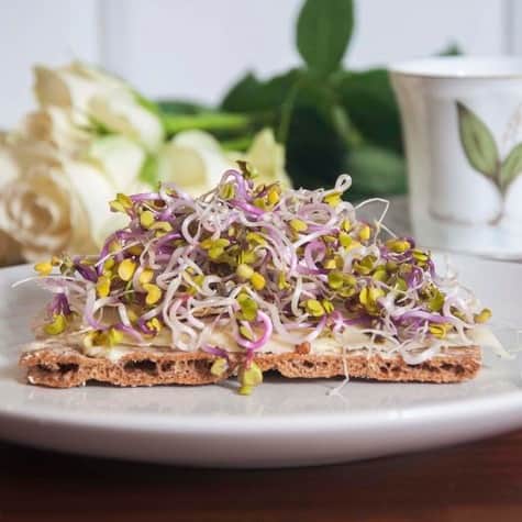 sproutly-eko-rdisfrn-chinarose-160g-1