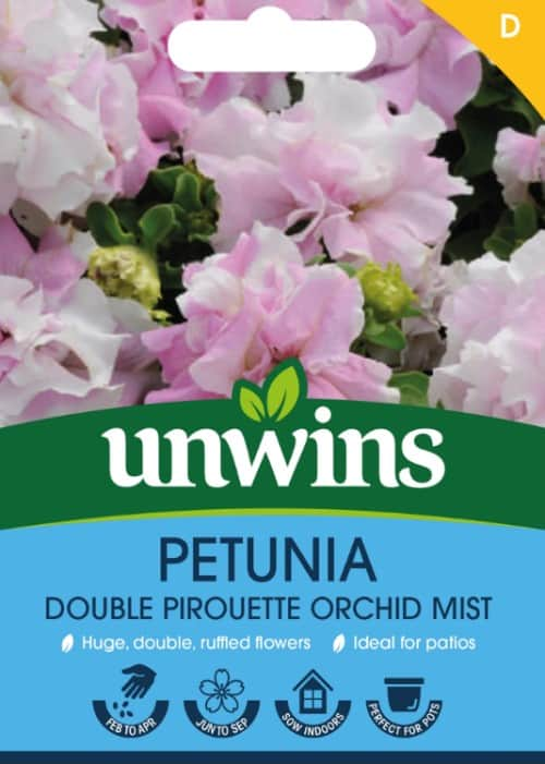 petunia-double-pirouette-orchid-mist-1