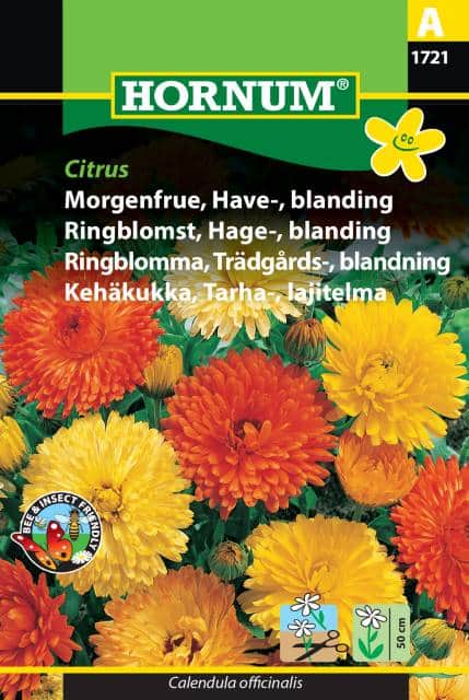 ringblomma-mix-citrus-1
