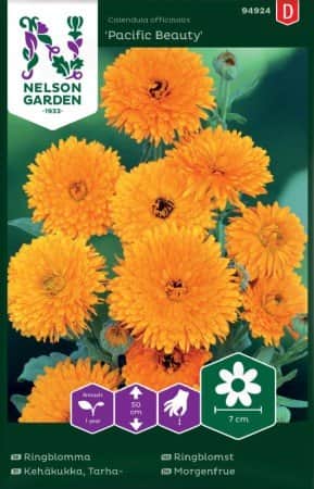 ringblomma-pacific-beauty-1