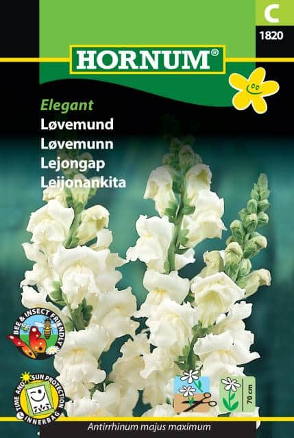 lejongap-elegant-fr-1