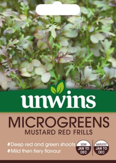 microgreen-mustard-red-frills-mix-1