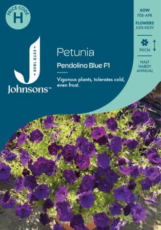 petunia-pendolino-blue-f1-1