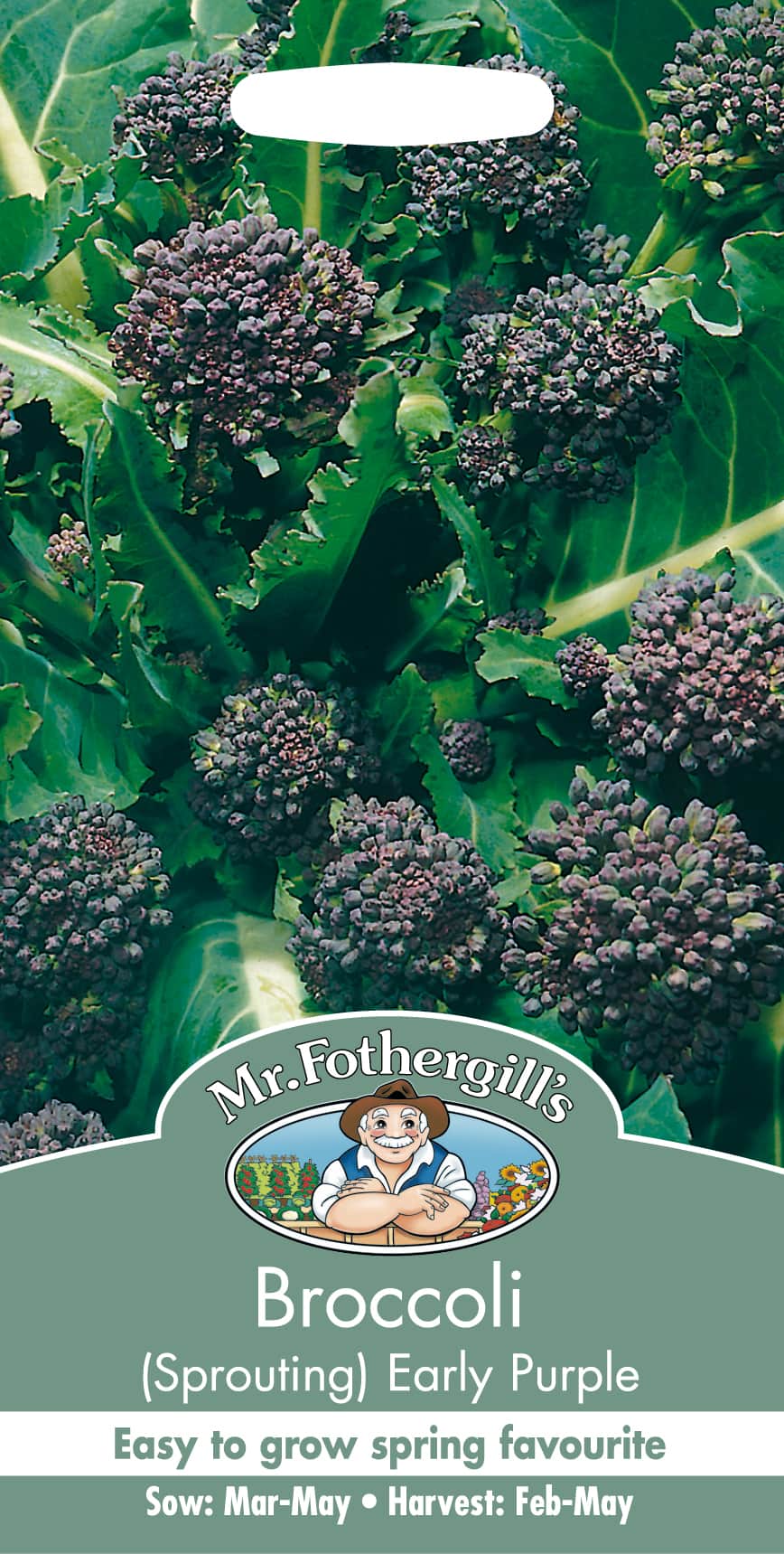 broccoli-early-purple-fr-1