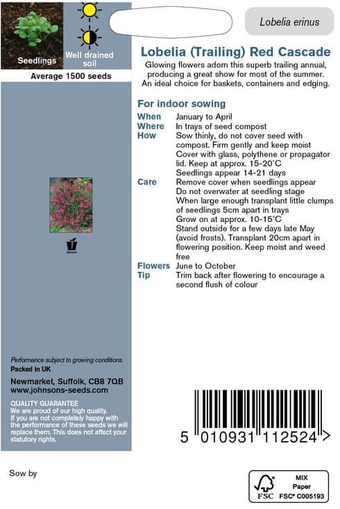 hnglobelia-red-cascade-fr-2