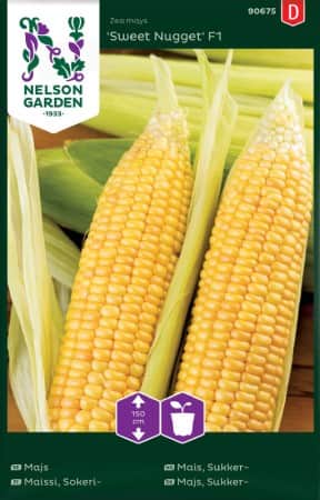 majs-sweet-nugget-f1-1