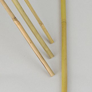Bambukäpp 100cm,- 10st