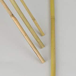 bambukpp-100cm--10st-1
