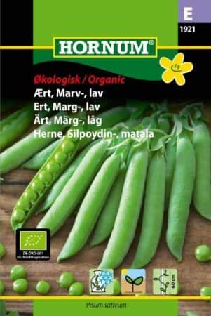 mrgrt-kelvedon-wonder-eko-1